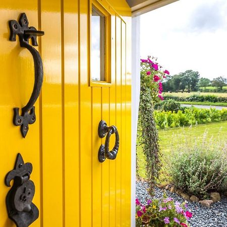 Katie'S Cottage Bellaghy ภายนอก รูปภาพ