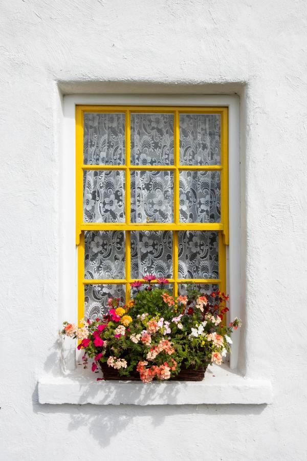 Katie'S Cottage Bellaghy ภายนอก รูปภาพ