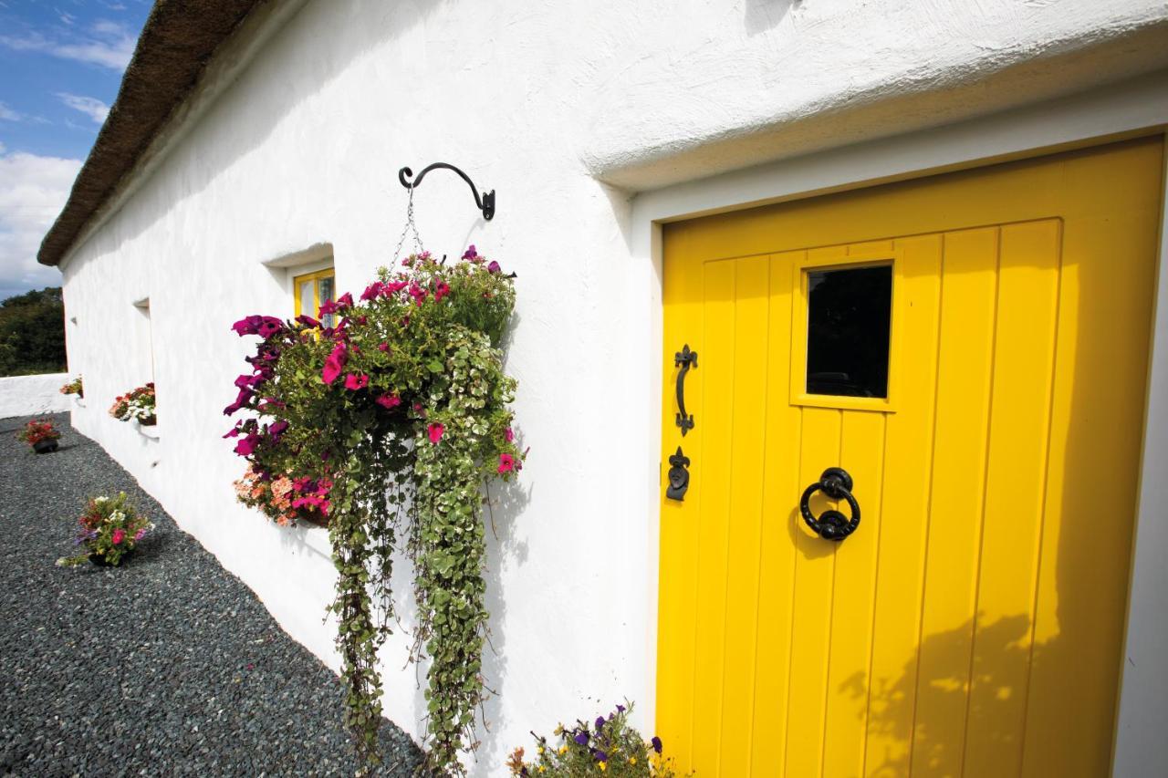 Katie'S Cottage Bellaghy ภายนอก รูปภาพ